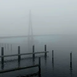 Fog Bridge